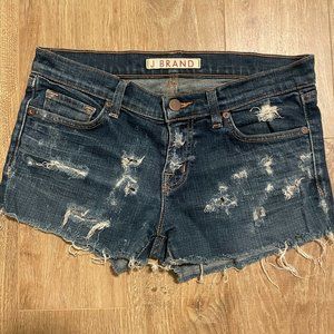 J Brand Low-Rise Denim Cut Off Shorts Size 27 - One of a Kind CUSTOM HAND MADE!!
